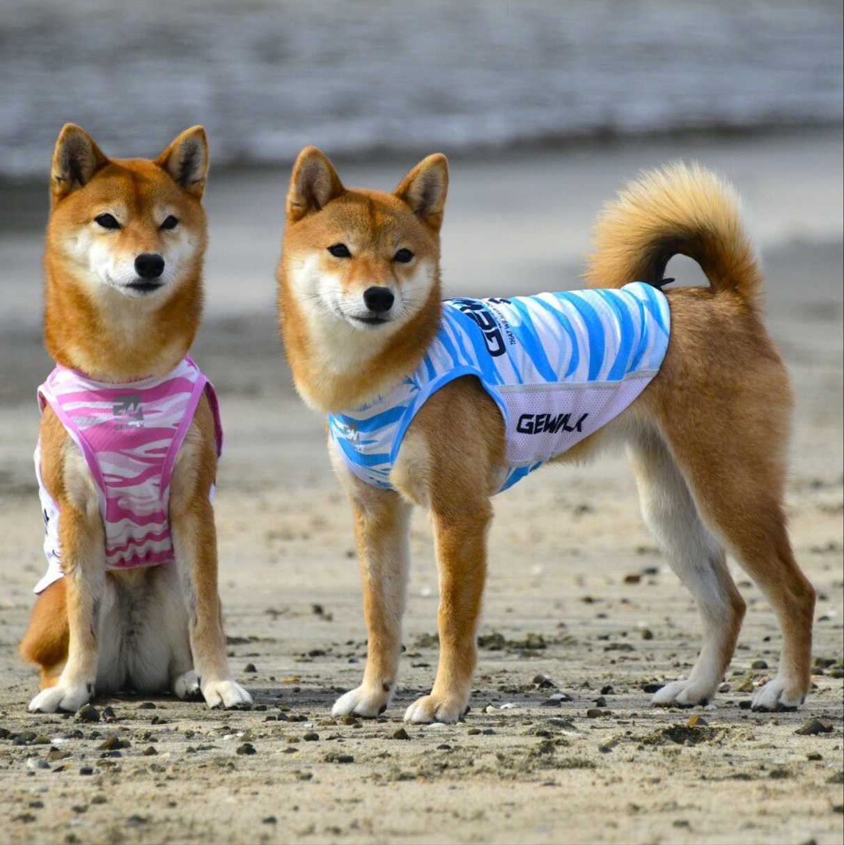 ウェーブ　プリント　アクティブ　クーリング　タンクトップ