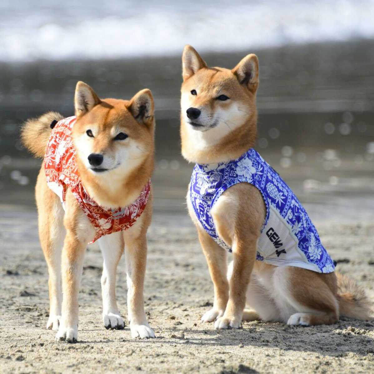 ハワイアン　パッチワーク　プリント　アクティブ　サンシェード　タンクトップ