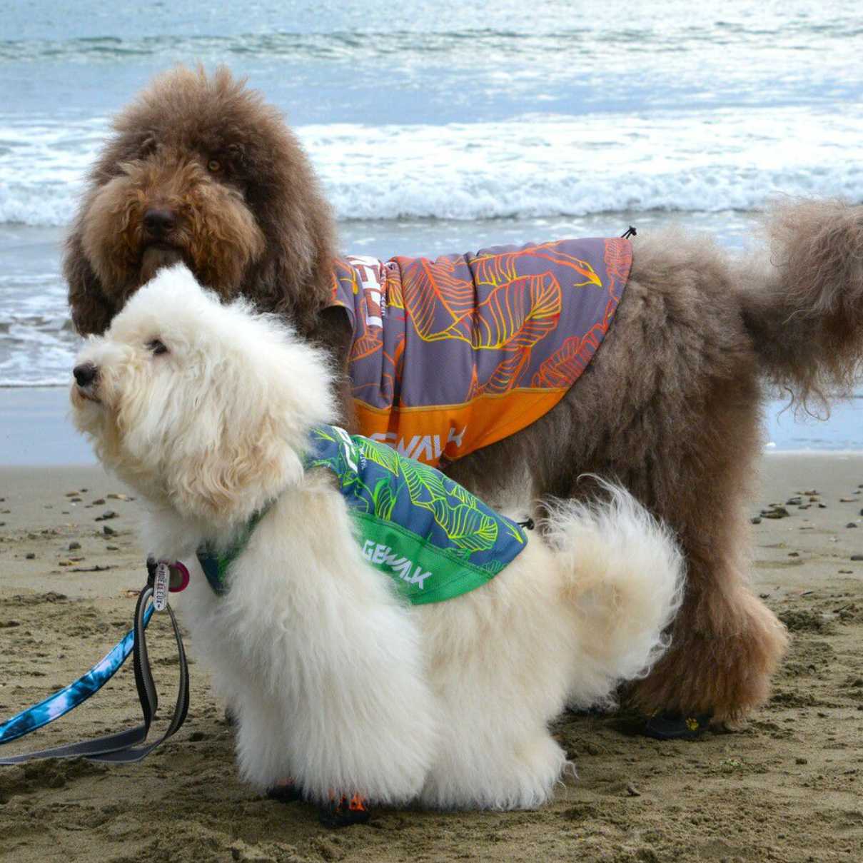 リーフ　プリント　アクティブ　クーリング　タンクトップ