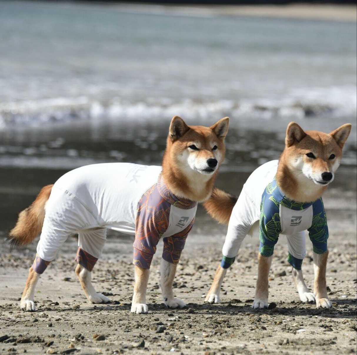 树叶印花超冷感四脚衣